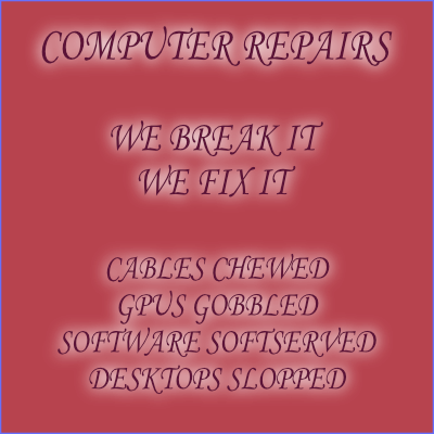 COMPUTER REPAIR