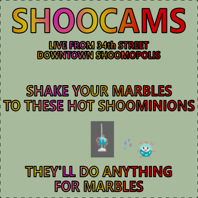 Shoocams