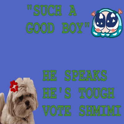 Vote Shmimi